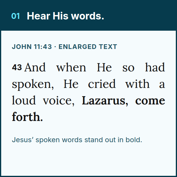 Enlarged page sample showing John 11:43 with Jesus words in bold